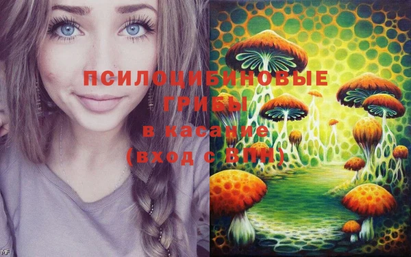 амфетамин Алексин