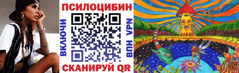 Галлюциногенные грибы мицелий  Купить где  Воркута 